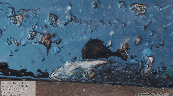 waste water management 1